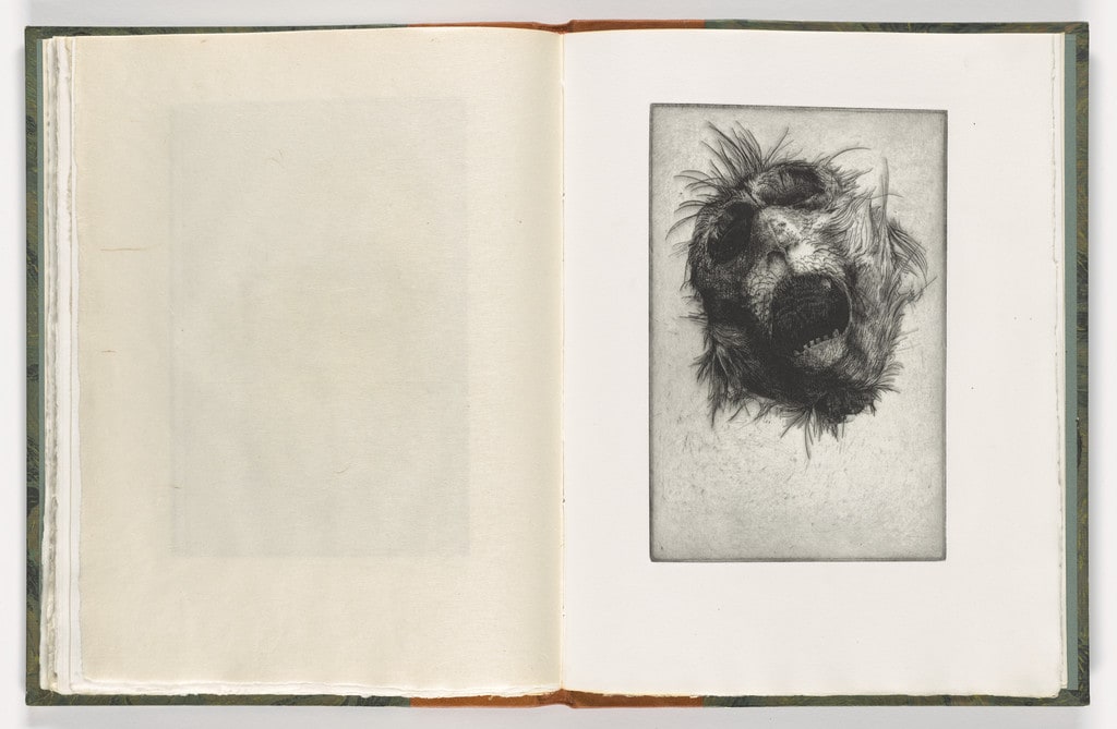 Plate (folio 38) from The Monkey