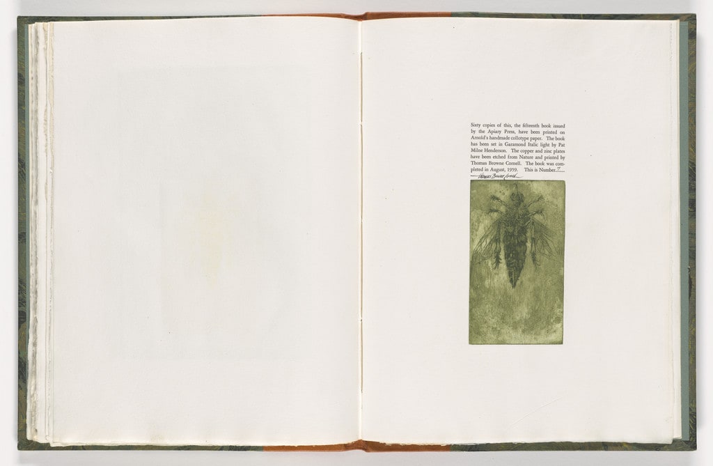 Colophon from The Monkey