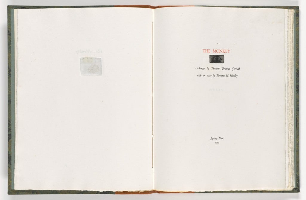 Title page from The Monkey