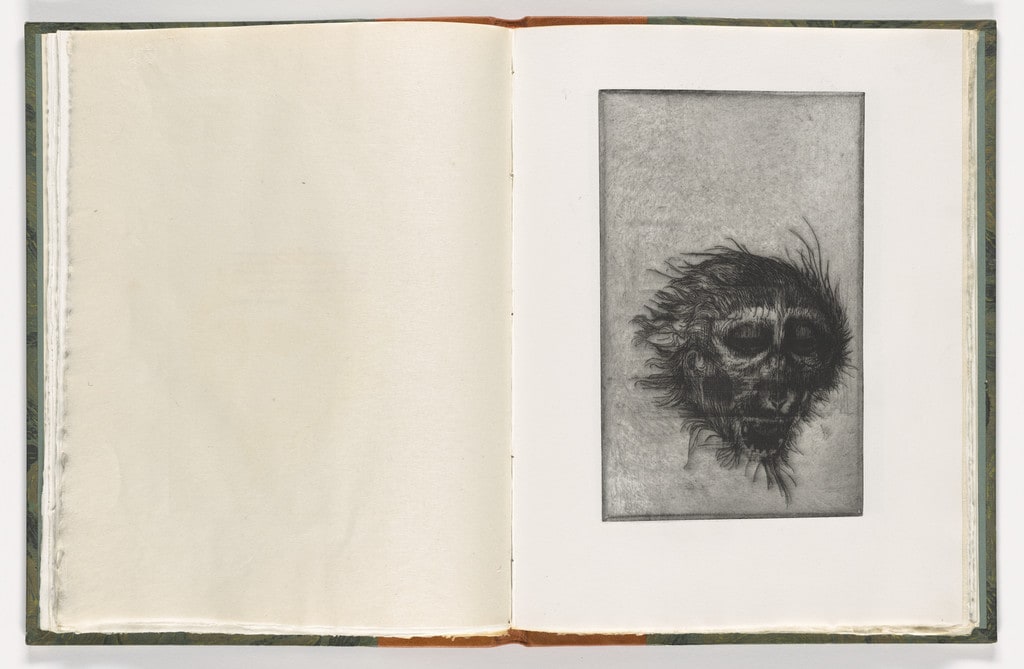 Plate (folio 20) from The Monkey