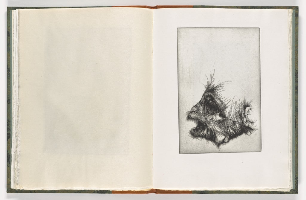 Plate (folio 24) from The Monkey