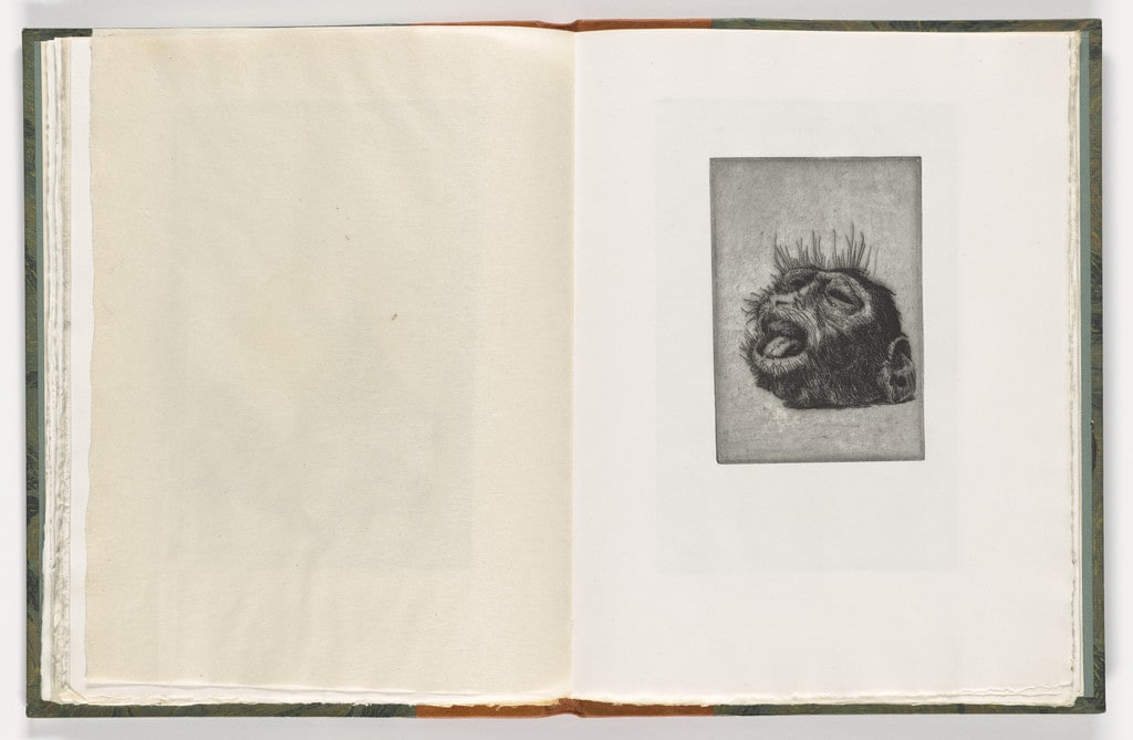 Plate (folio 26) from The Monkey