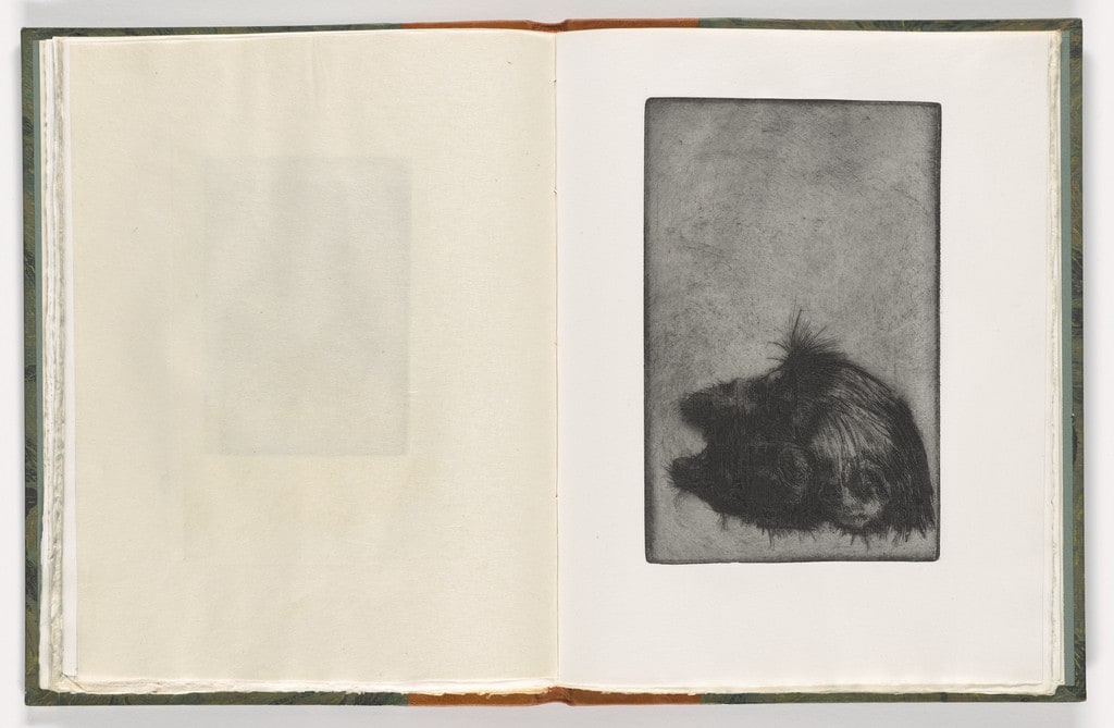 Plate (folio 28) from The Monkey
