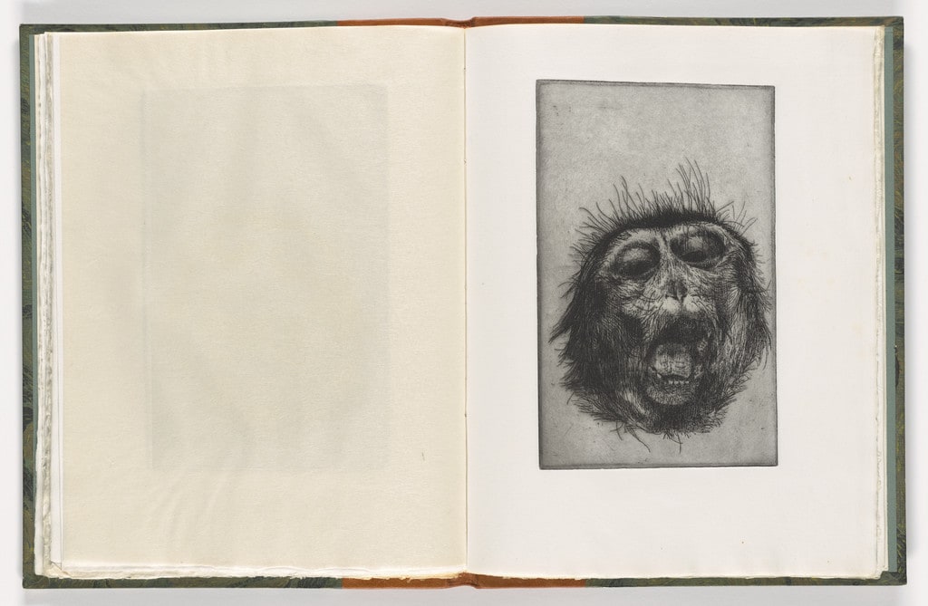 Plate (folio 30) from The Monkey