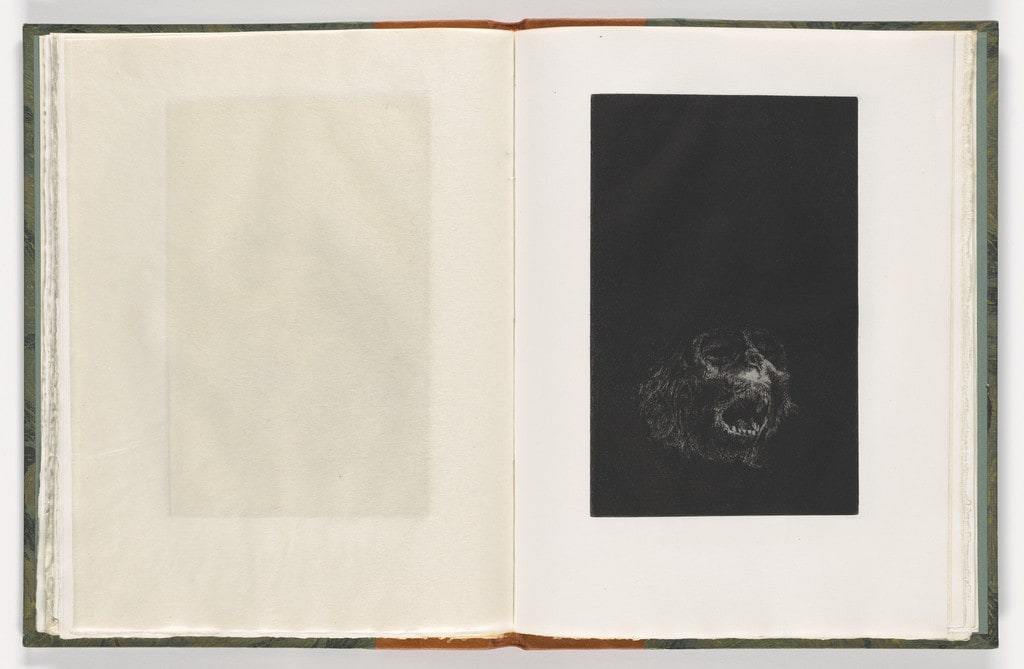 Plate (folio 32) from The Monkey