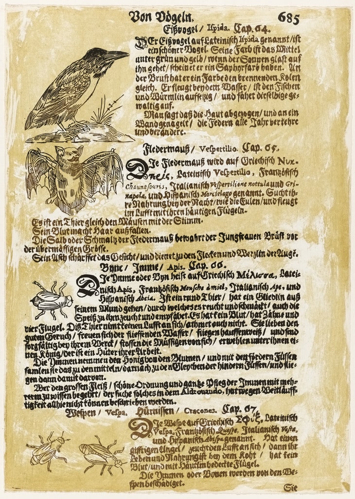 In-text plate (folio 2) from The Bee (Die Biene)
