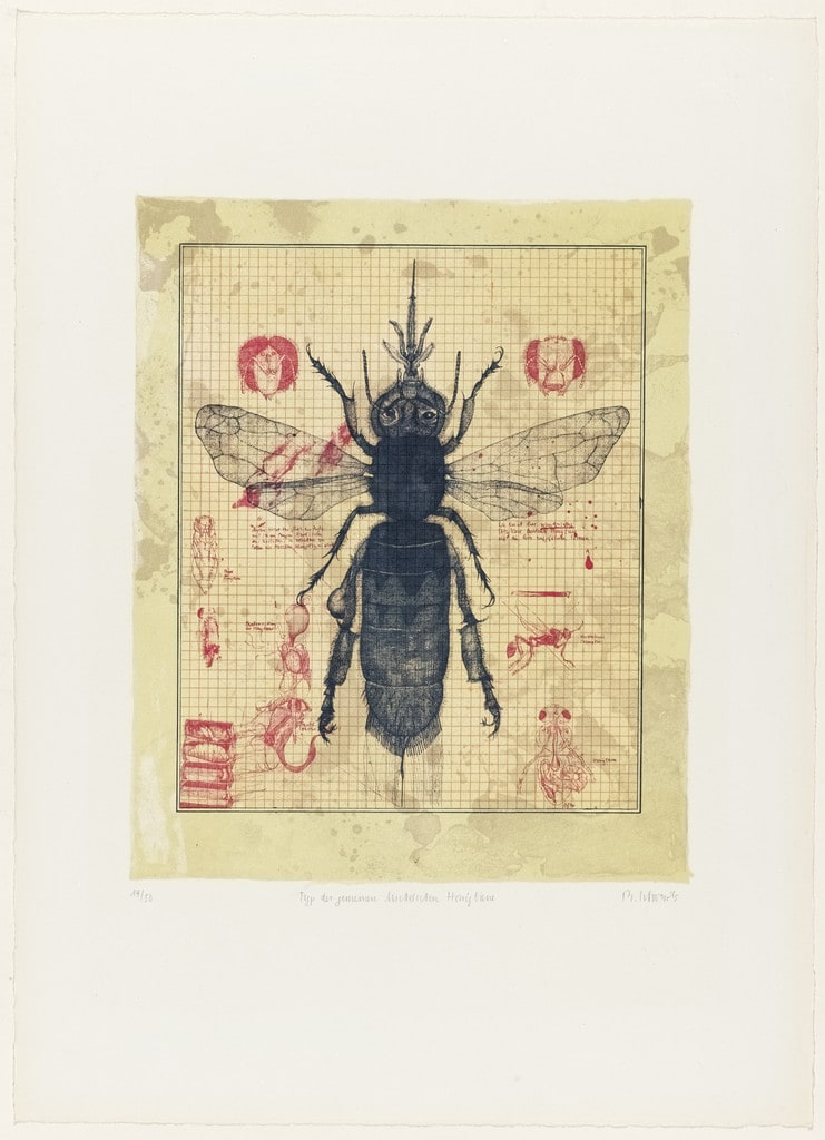 Plate (folio 8) from The Bee (Die Biene)