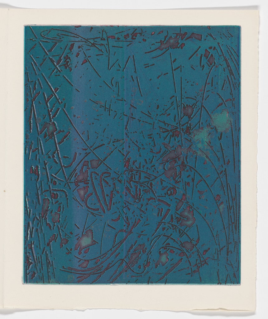 Night Forest (plate, page 71) from Feuilles éparses