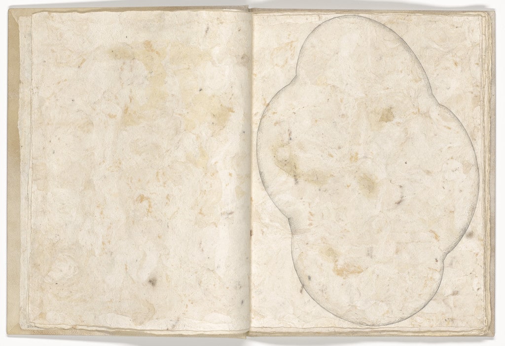 Plate (folio 5) from Memory of the Skin