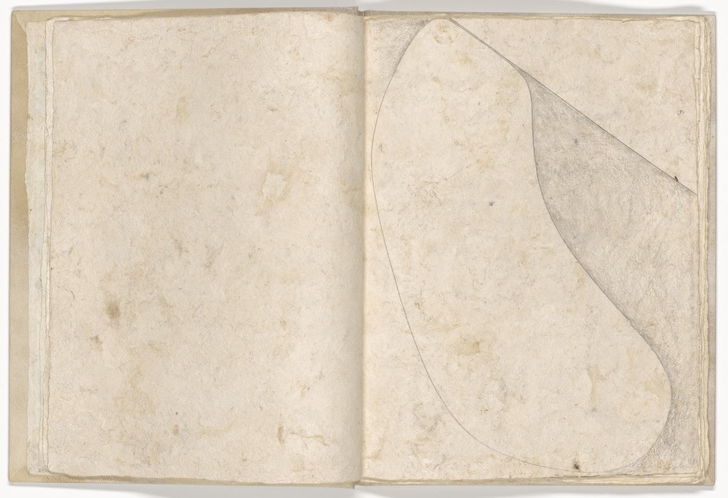 Plate (folio 7) from Memory of the Skin