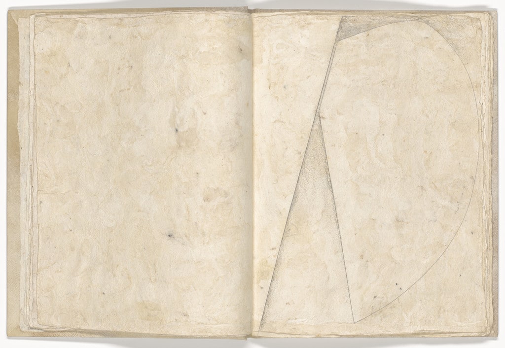 Plate (folio 9) from Memory of the Skin