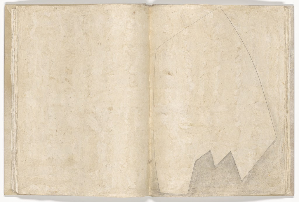 Plate (folio 15) from Memory of the Skin