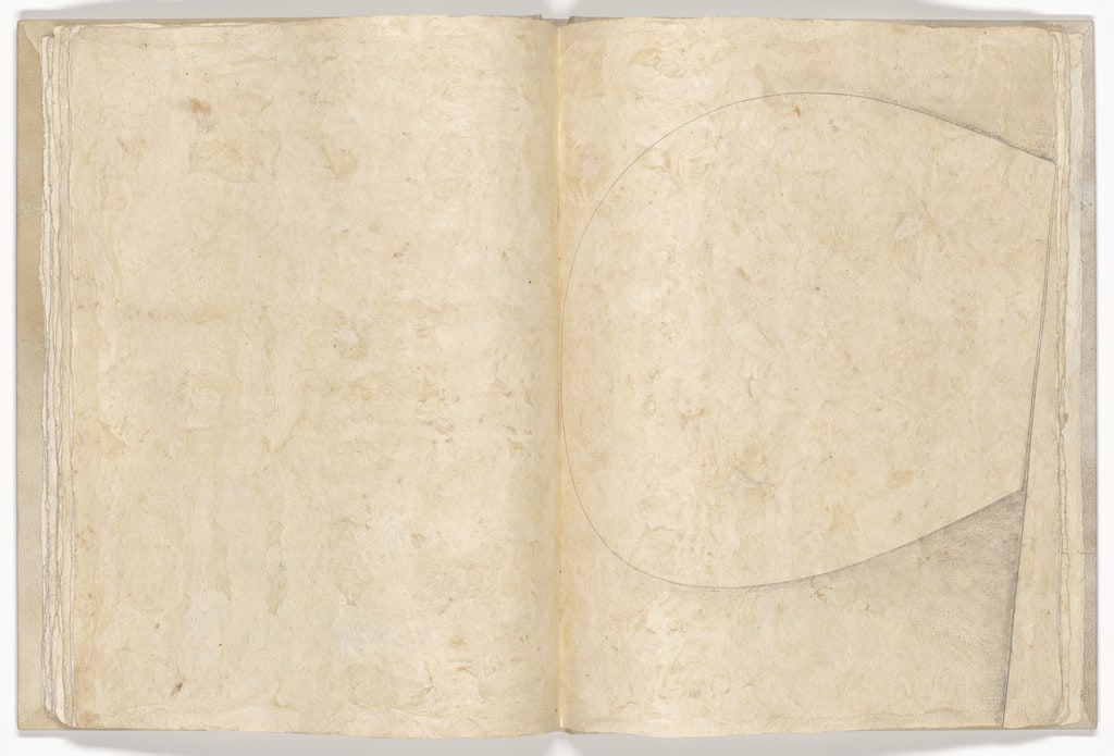 Plate (folio 17) from Memory of the Skin