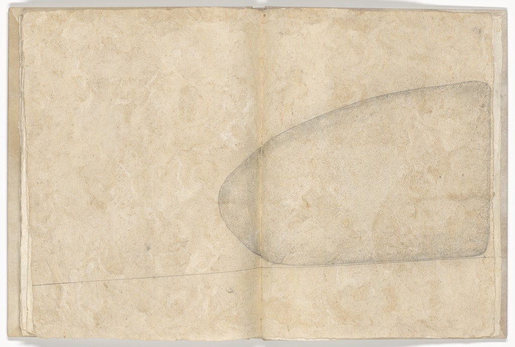 Double page plate (folios 22 verso and 23) from Memory of the Skin