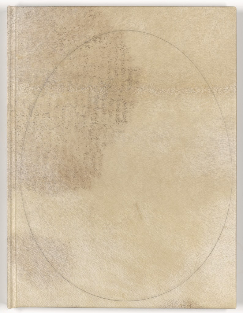 Cover from Memory of the Skin