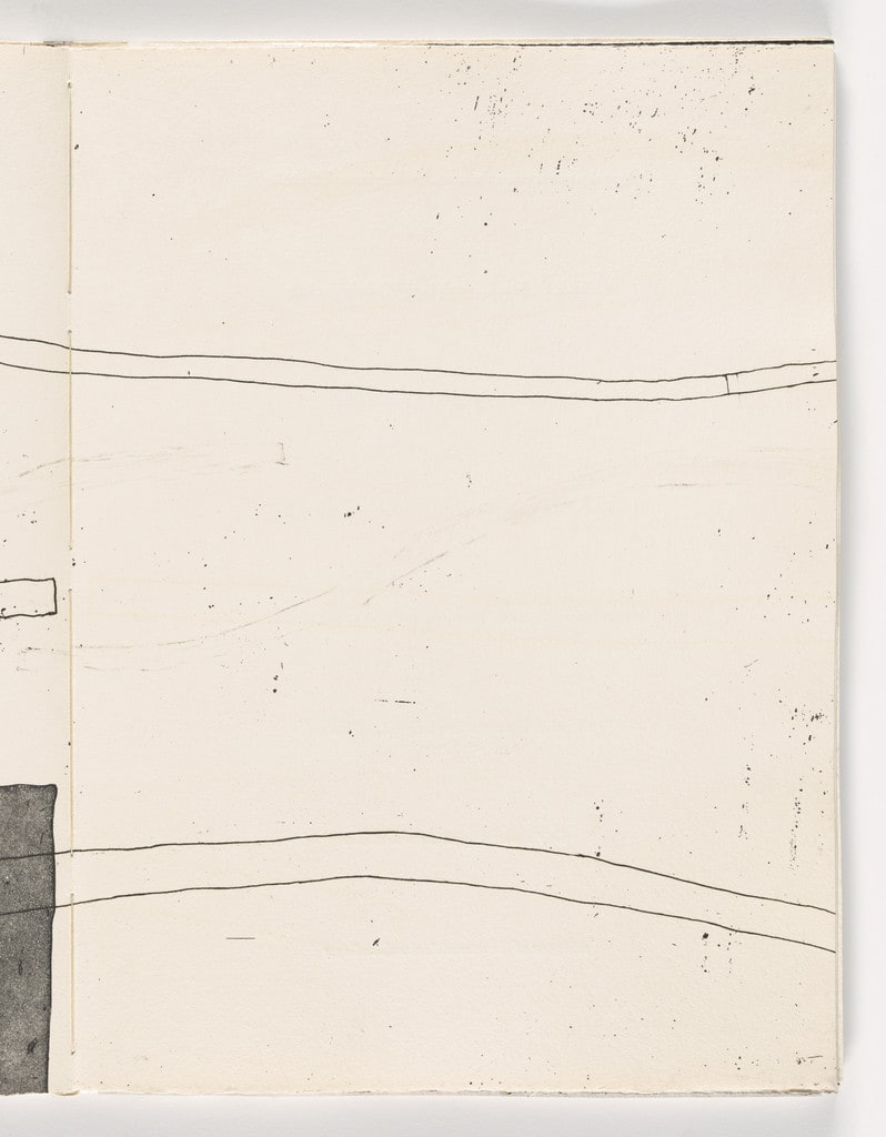 Plate from Giant Wall