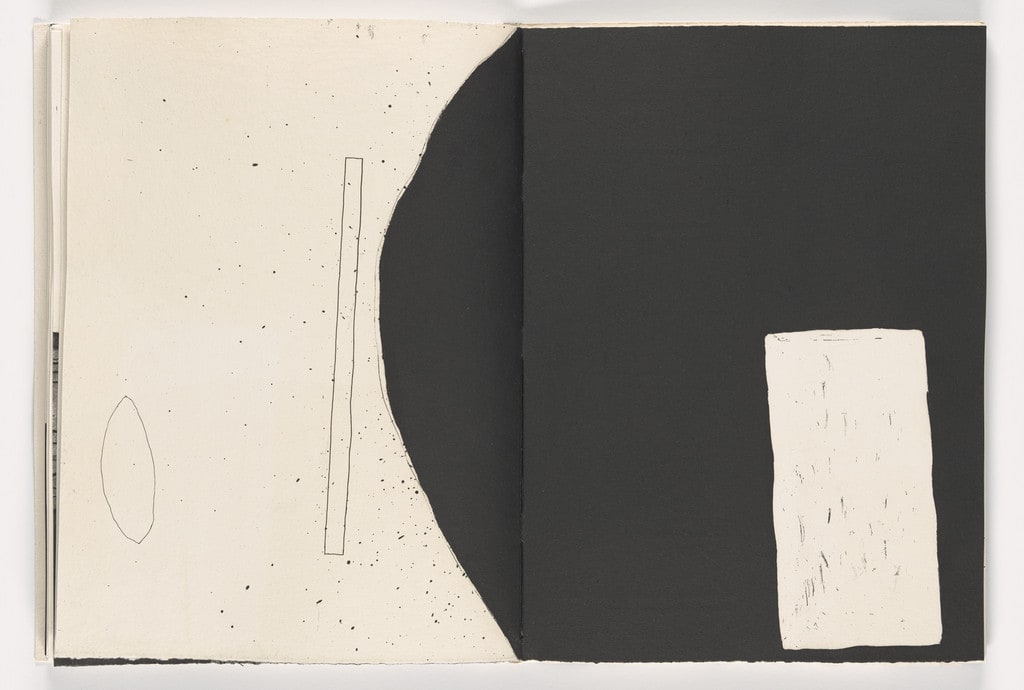 Double page plate from Giant Wall