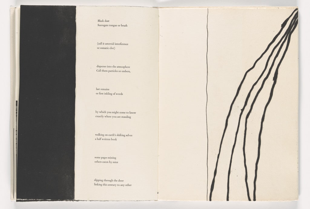 Double page plate from Giant Wall