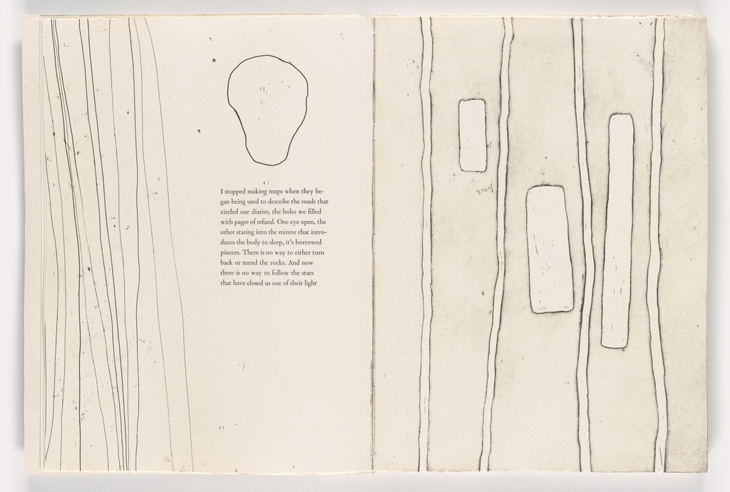 Double page in-text plate from Giant Wall