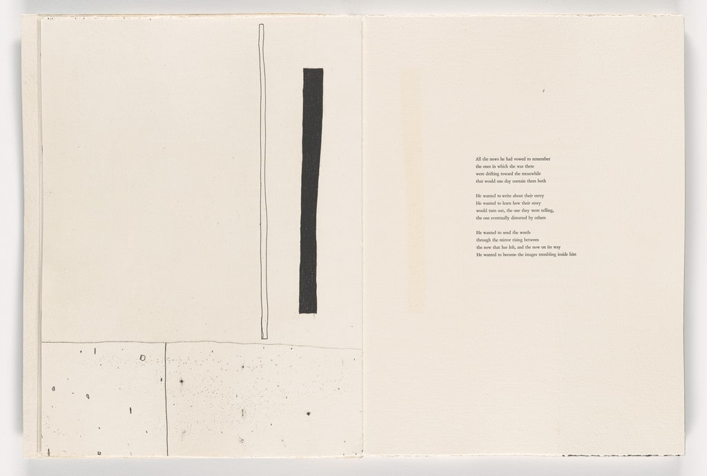 Plate from Giant Wall
