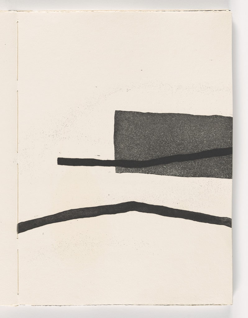 Plate from Giant Wall