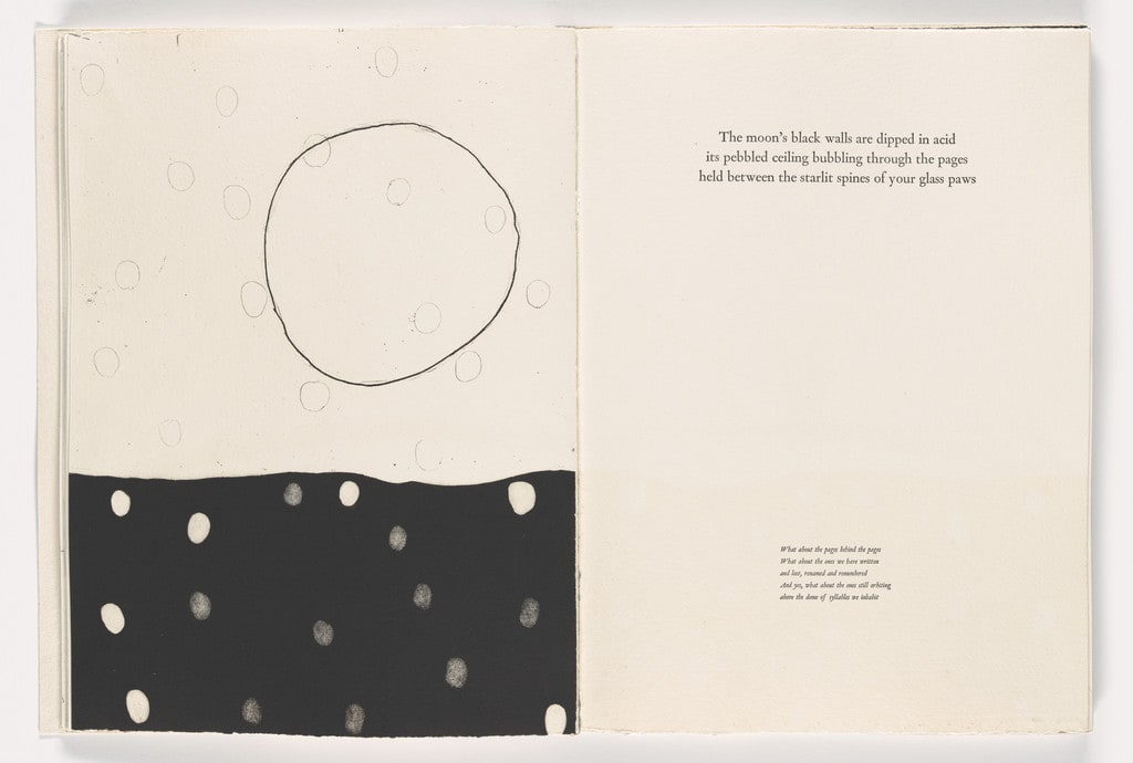 Plate from Giant Wall
