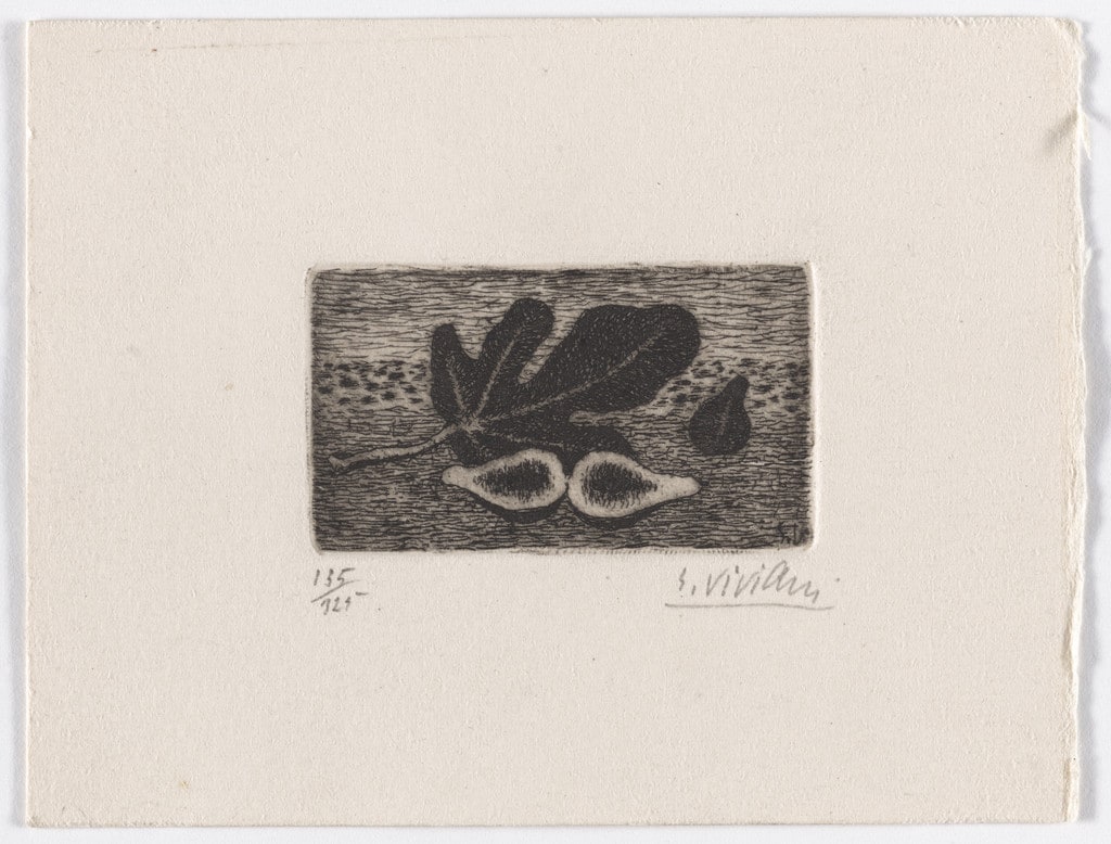Leaf, Fig, and Sea (Foglia, fico e mare) from Six Etchings by Giuseppe Viviani (Sei Incisioni di Giuseppe Viviani)