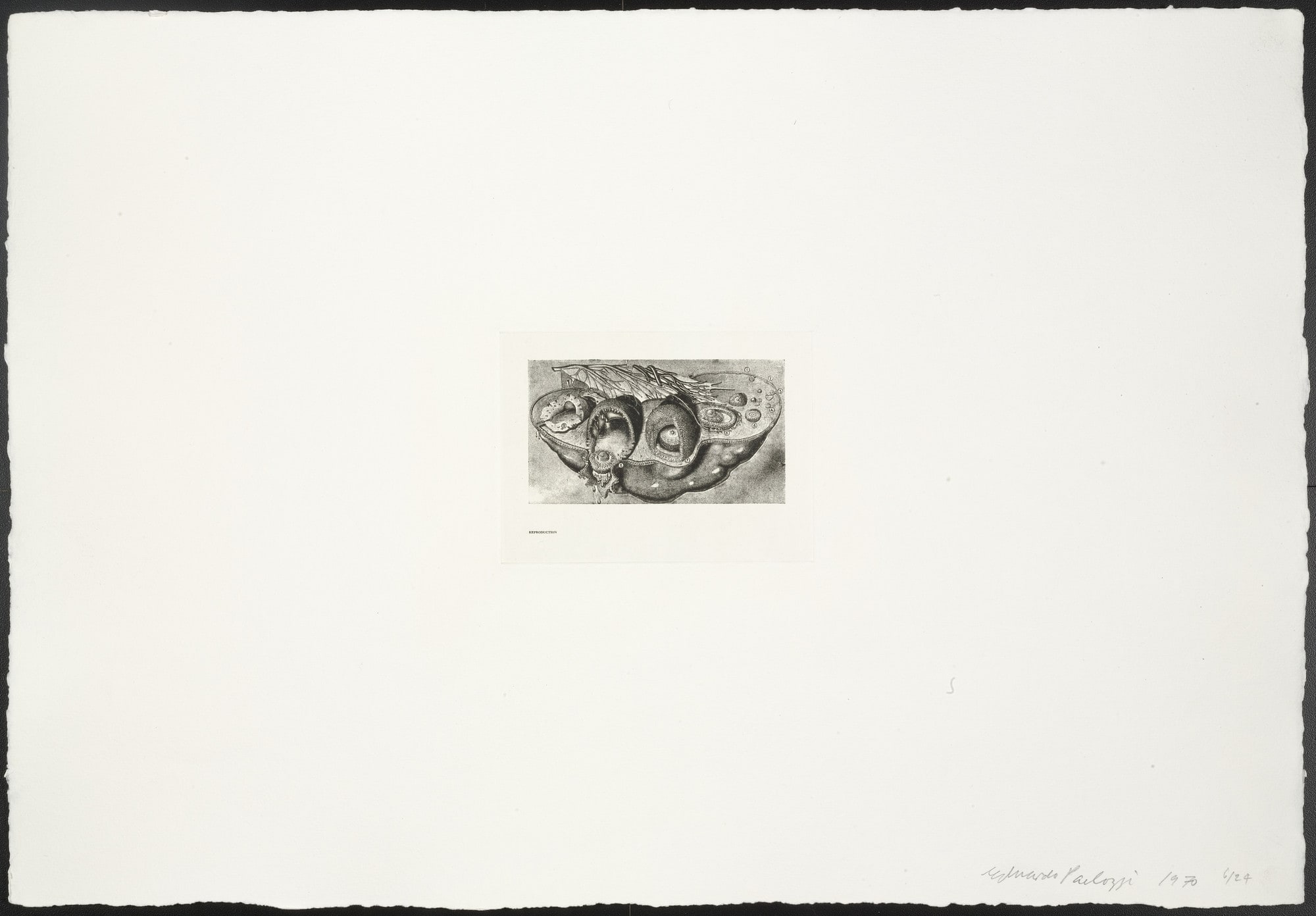 Reproduction from The Conditional Probability Machine