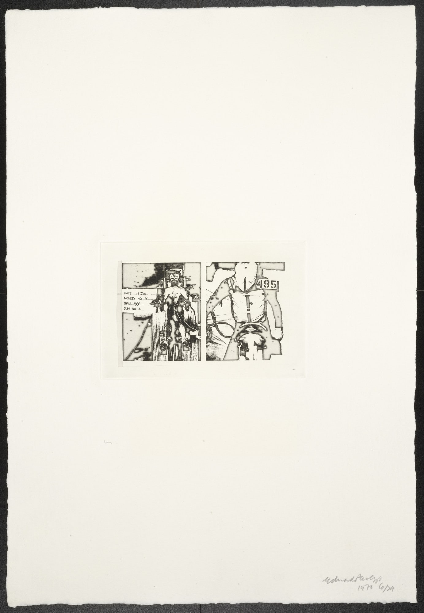 Untitled (Monkey No. 9) from The Conditional Probability Machine