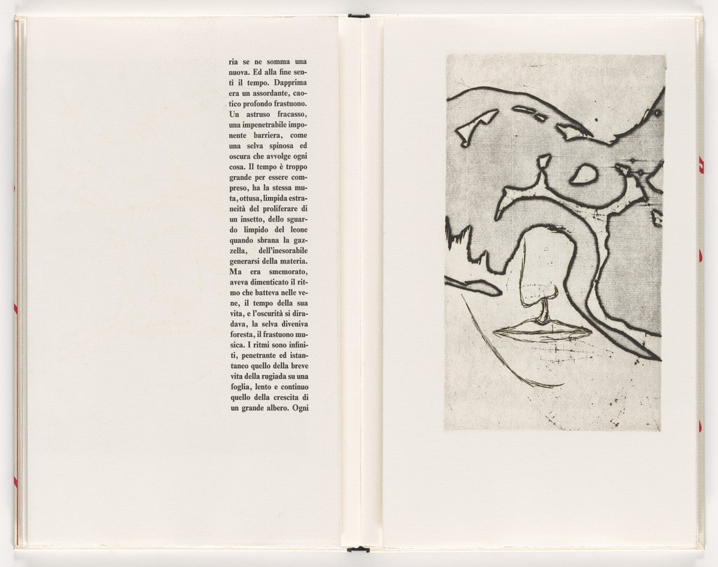 Plate (folio 19) from Piccolo circolo chiuso (Small Closed Circle)