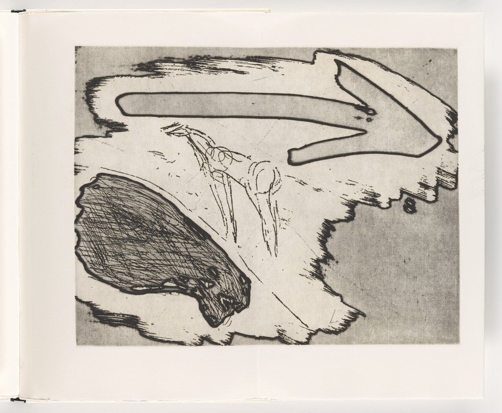 Double page fold-out plate (folios 25 and 26) from Piccolo circolo chiuso (Small Closed Circle)