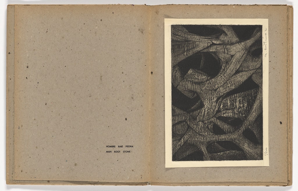 Hombre Raiz Piedra, Man Root Stone (Plate, Folio 4) from Tres cantos materiales (Three Material Songs)