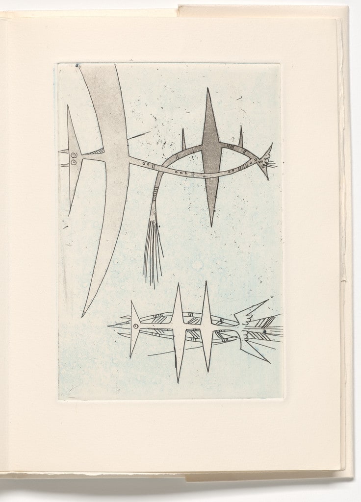 Plate (page 41) from Le Rempart de brindilles (The Rampart of Twigs)