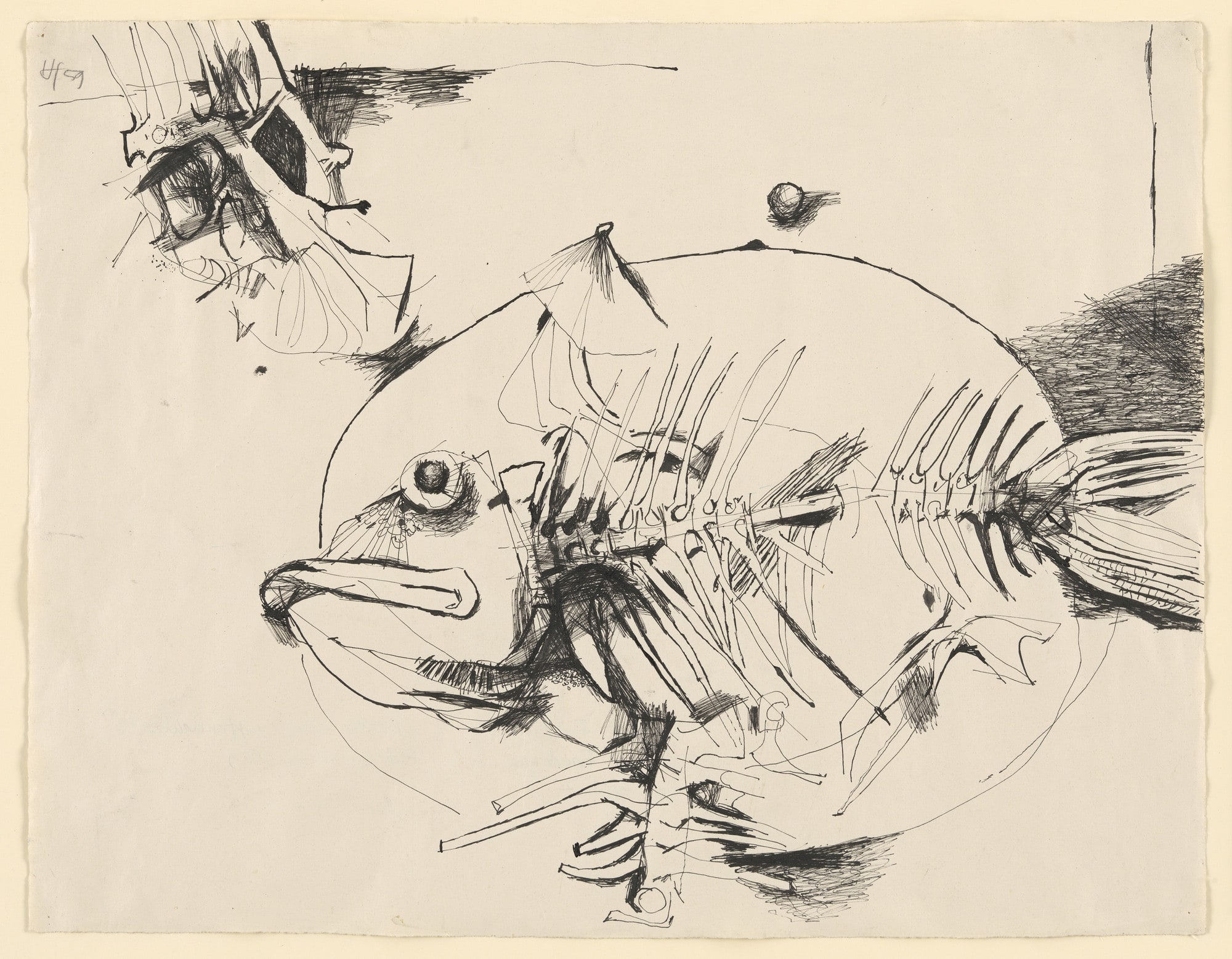 Remains of a Meal of Carp