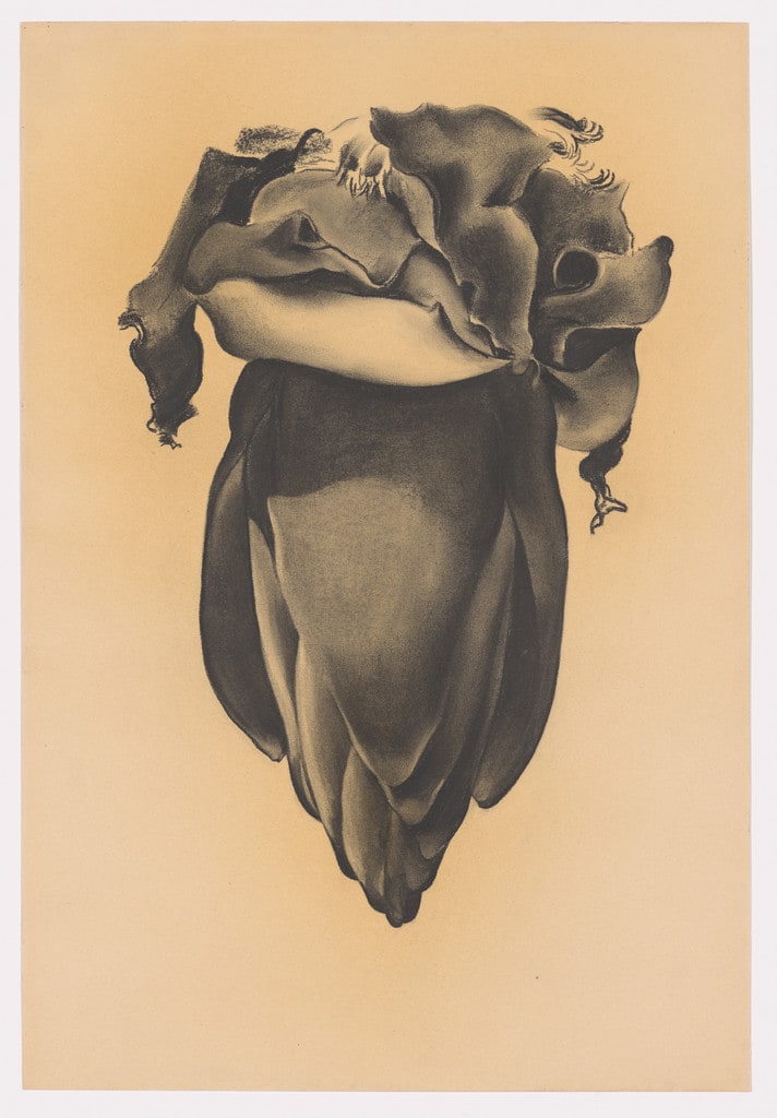 Banana Flower