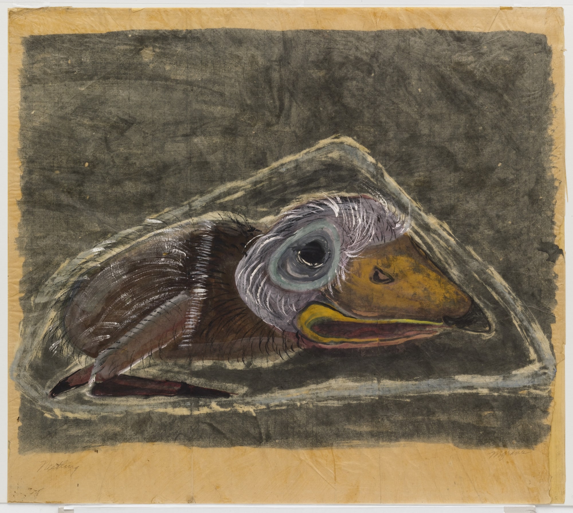 Nestling