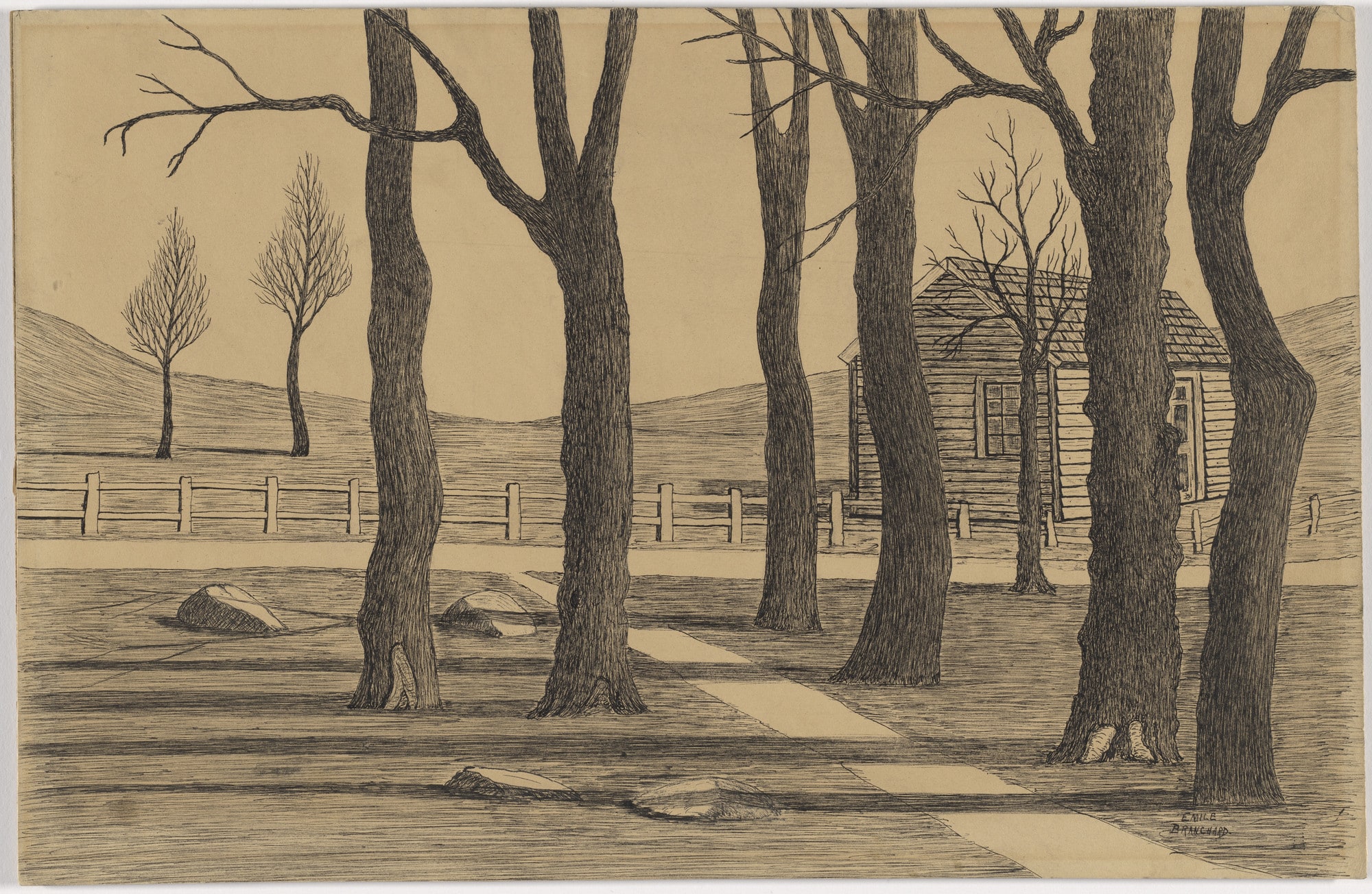 Trees and Shack