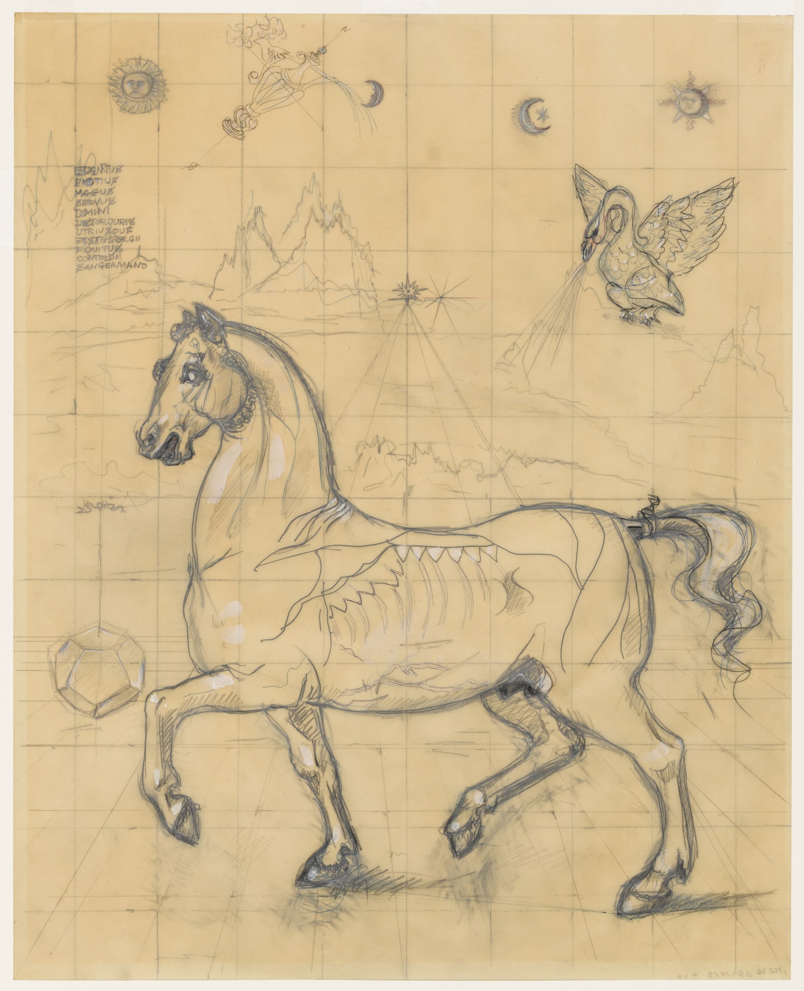 Horse