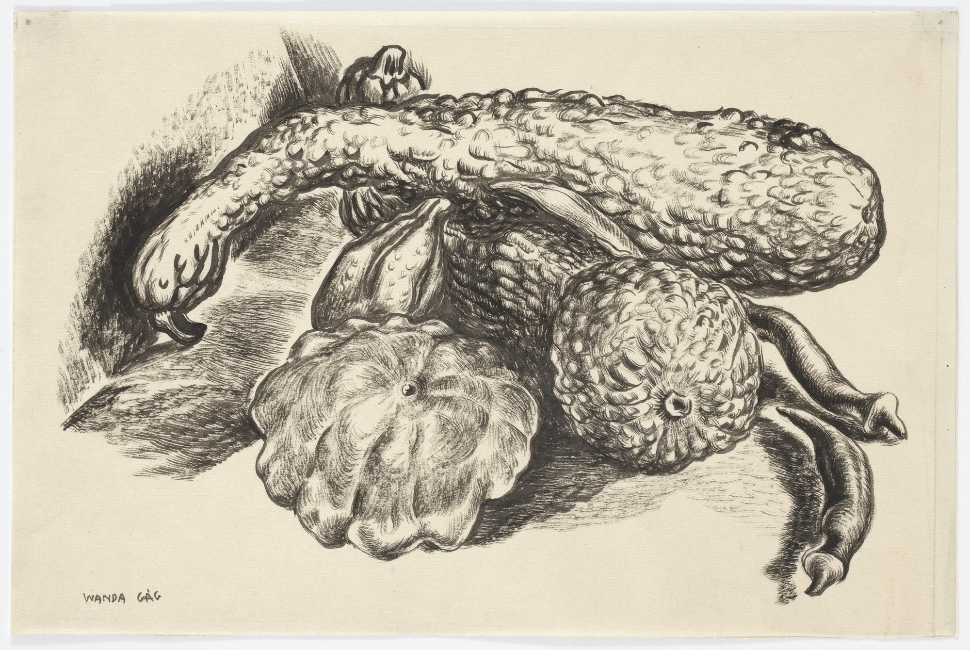 Squash