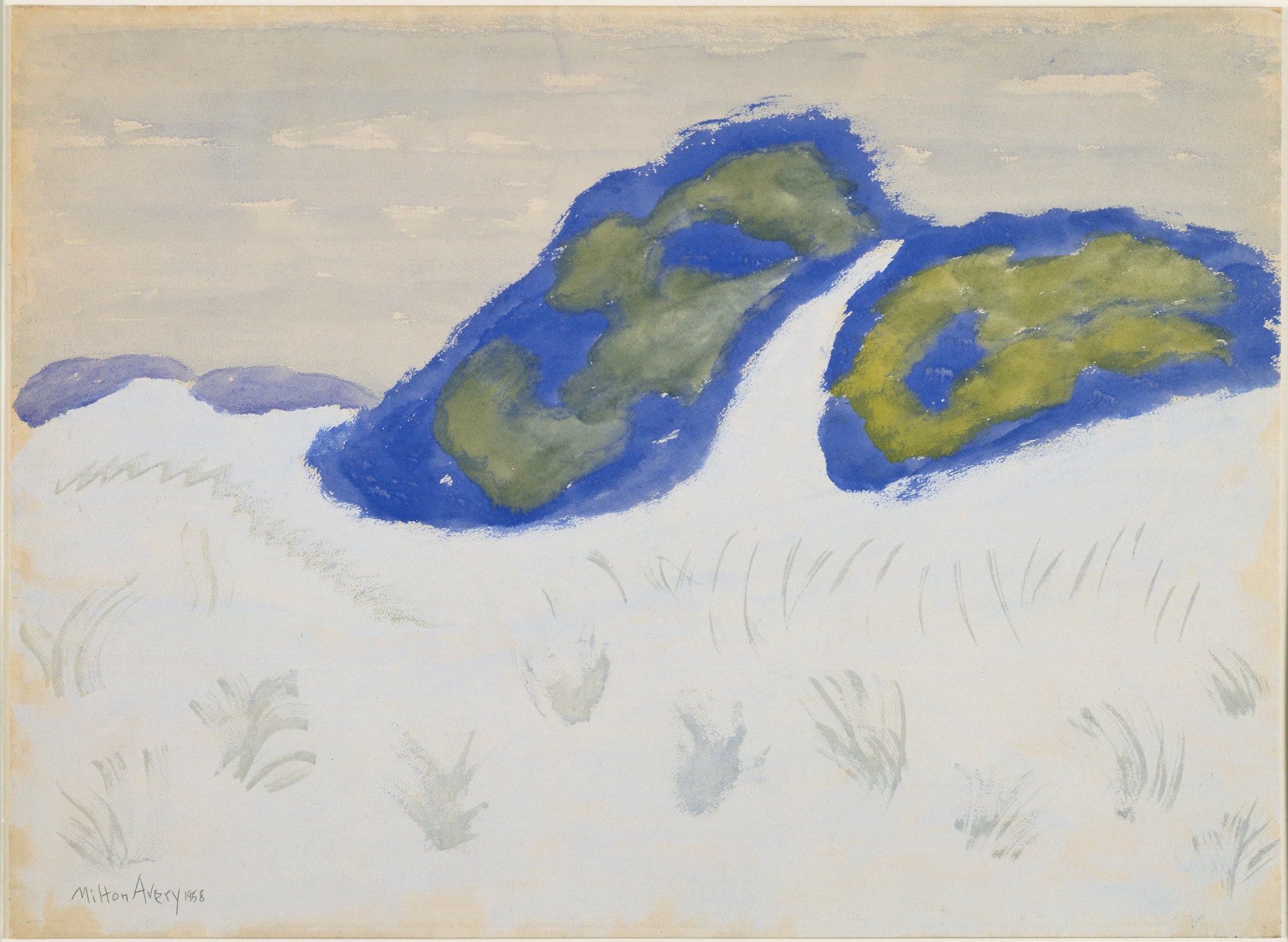 Dune and Bushes