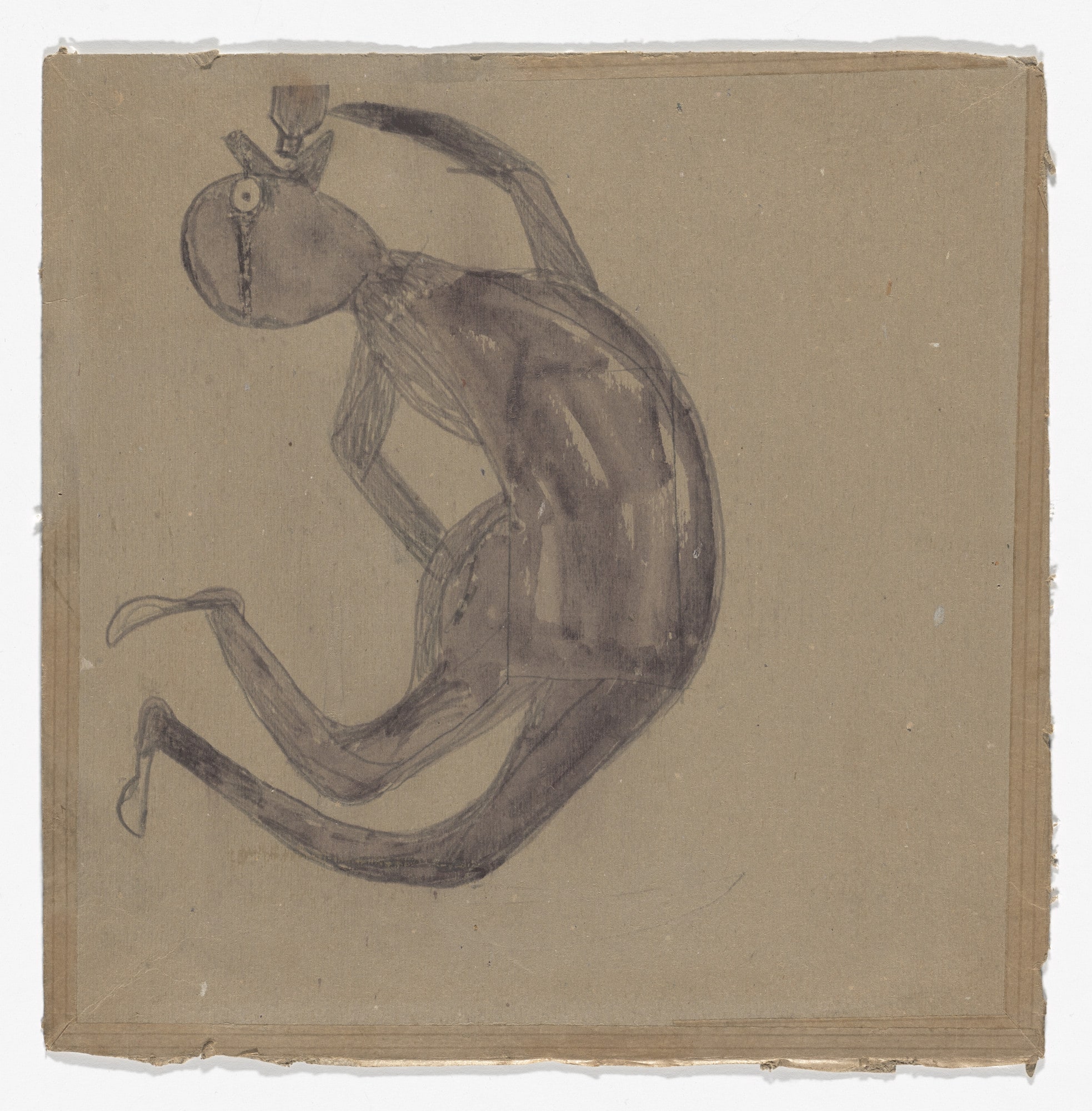 Arched Drinker