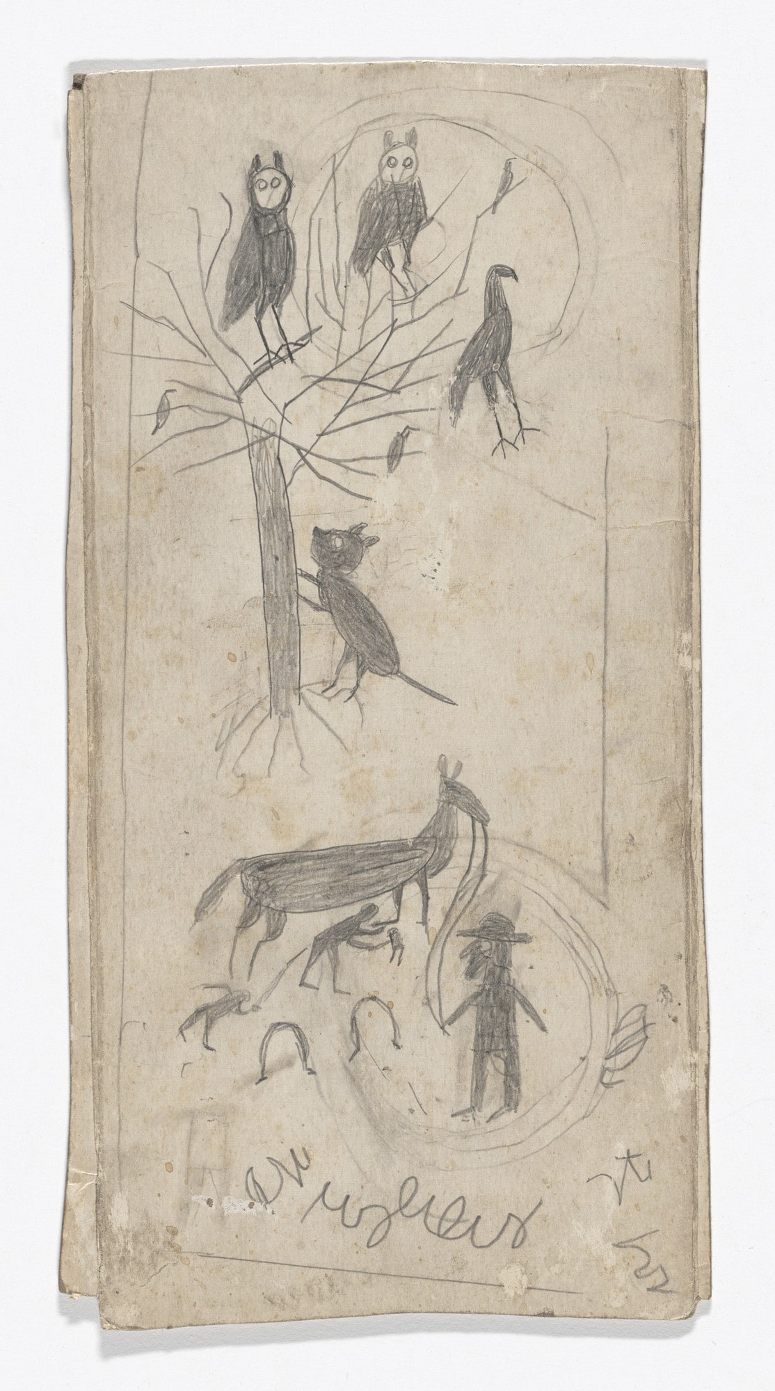 Owls in Tree/Shoeing Mule