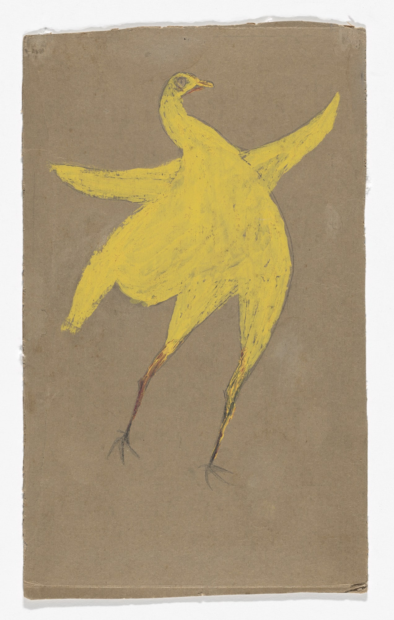 Yellow Chicken