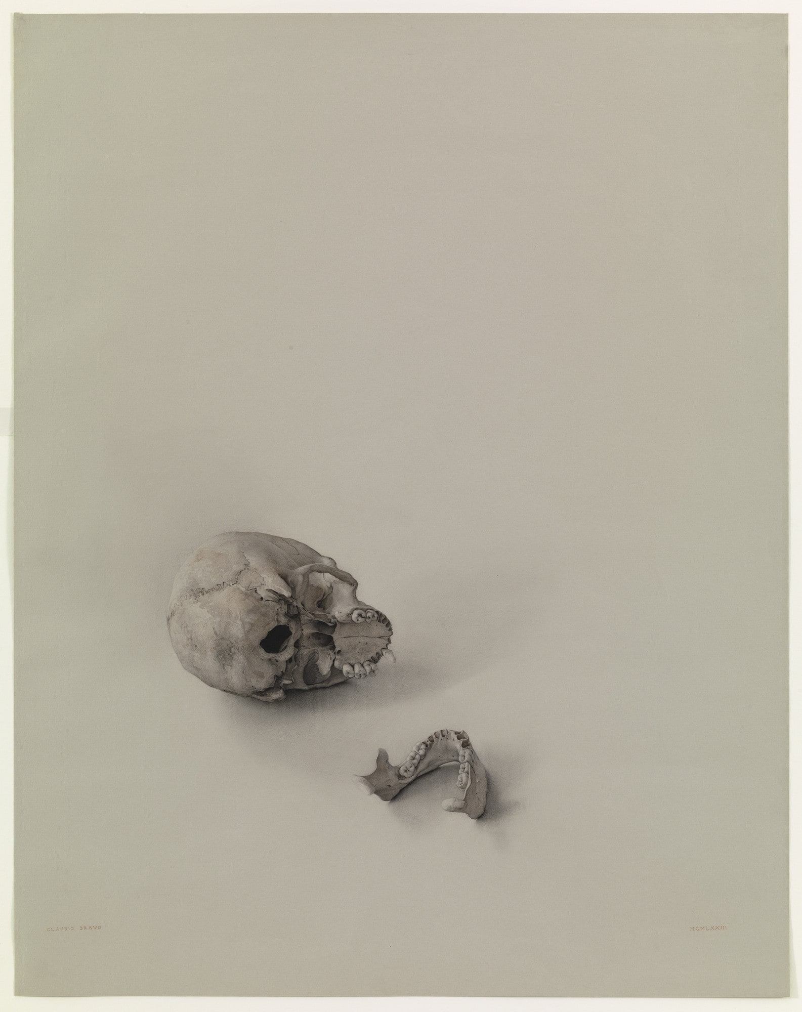 The Skull