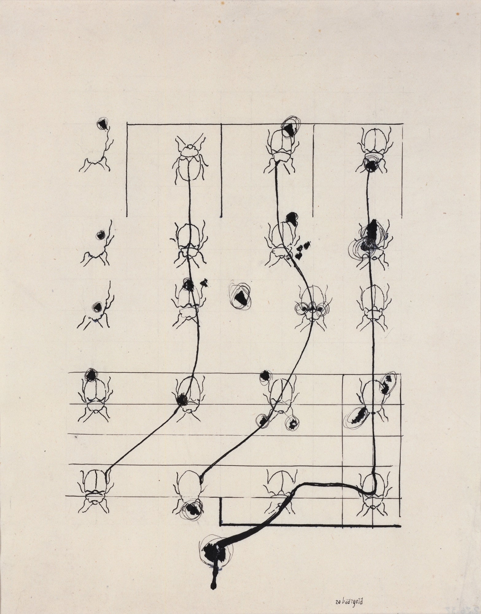 Untitled (Beetles)