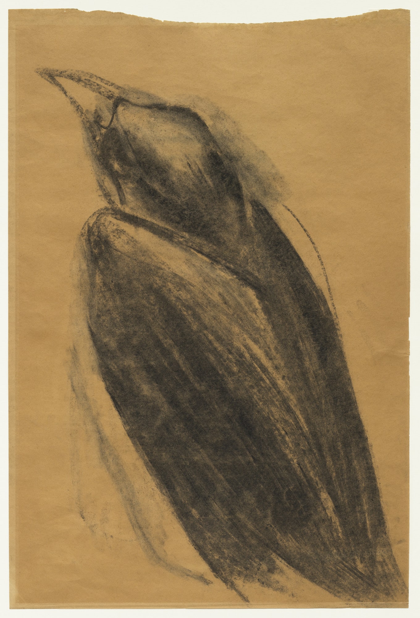 Crow