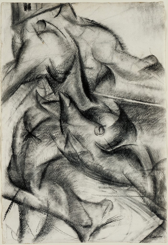 Muscular Dynamism