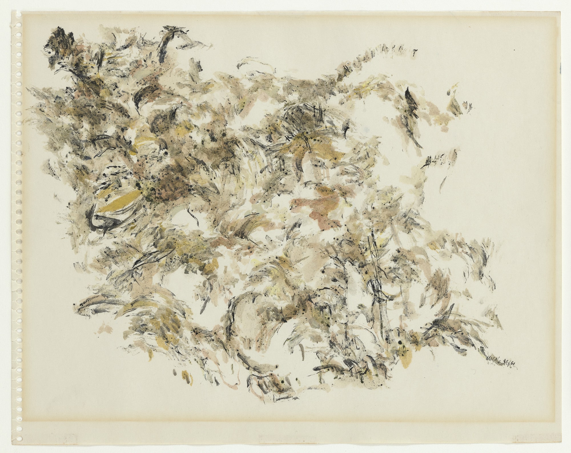 Forest Floor, II