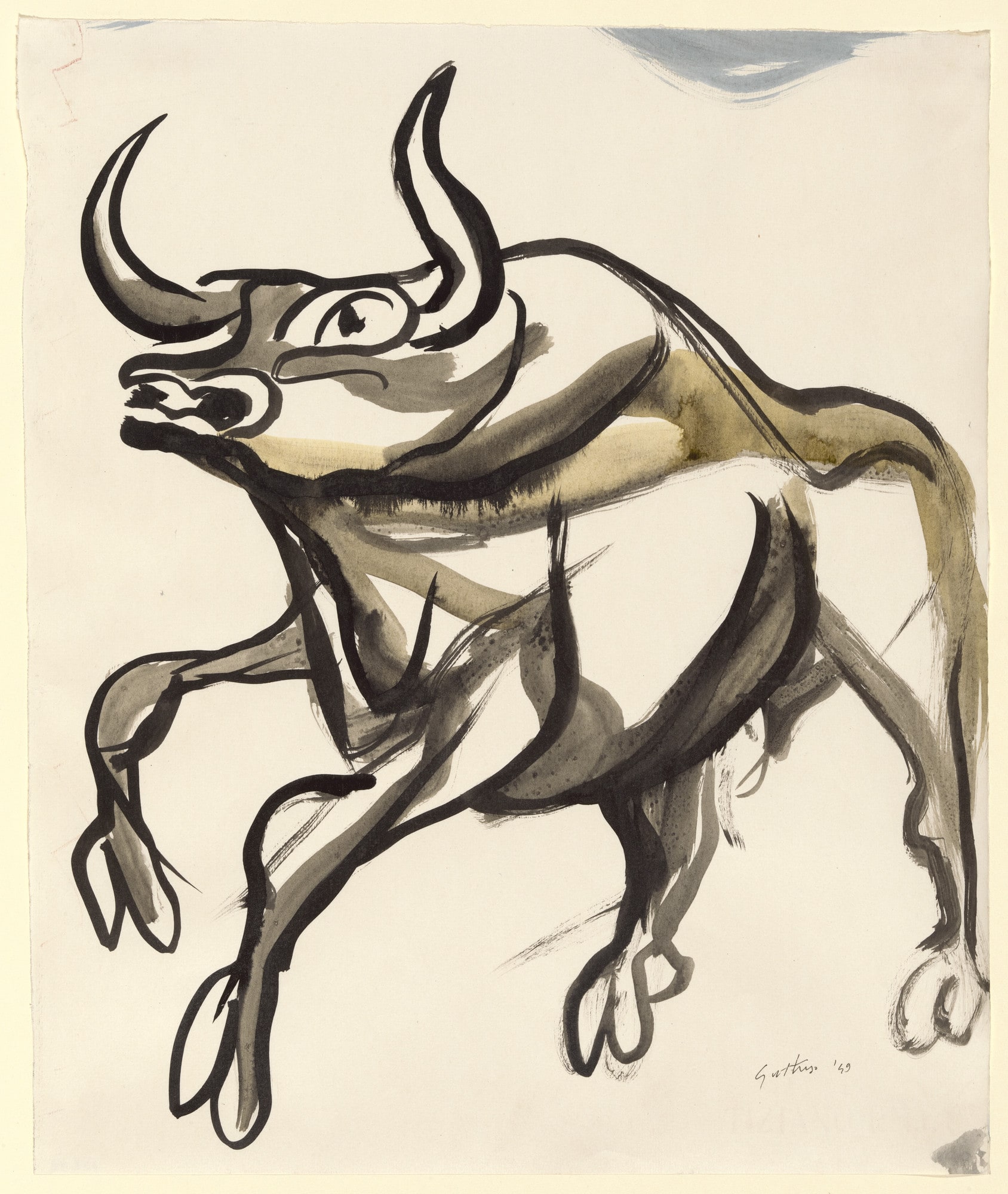 Bull