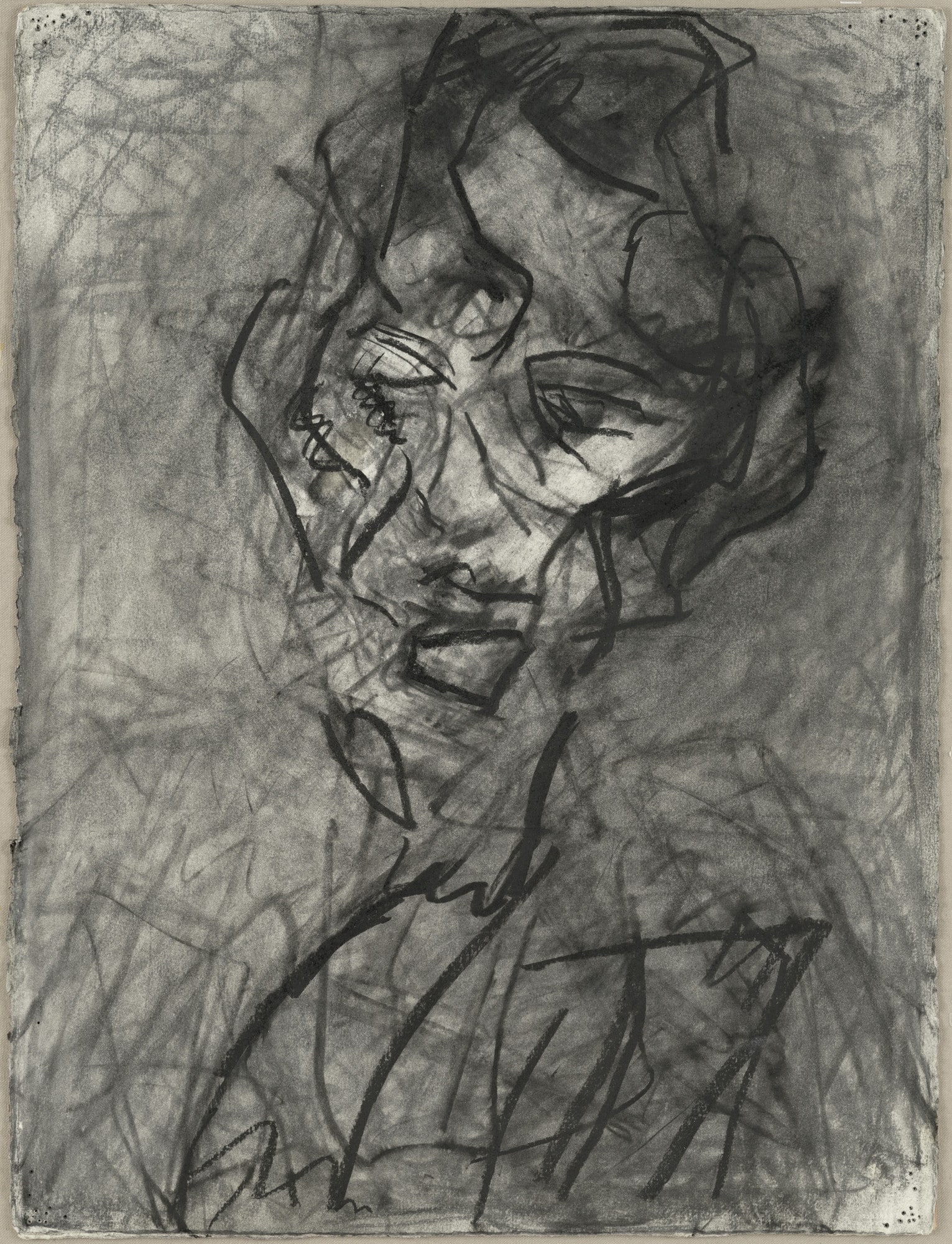 Head of Catherine Lampert VI